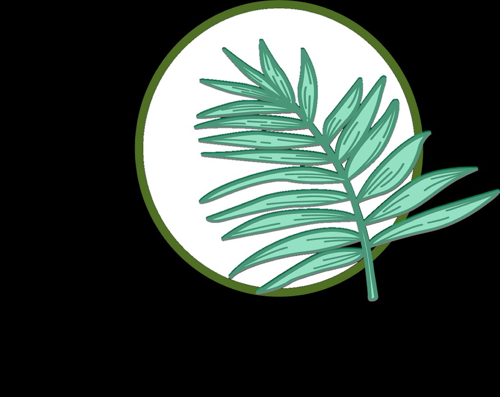 Logo de Aracaceae S.A.S